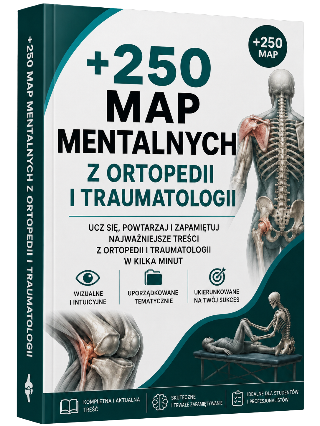 Pakiet +250 Map Myśli z Ortopedii i Traumatologii